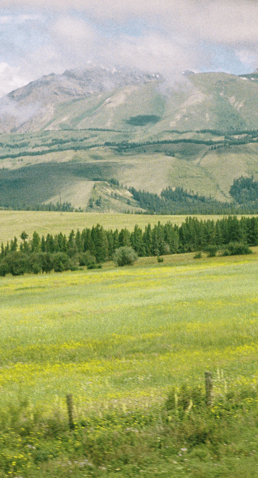 Sustainable sourcing