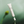 Load image into Gallery viewer, Tea-Trica Spot Cream
