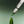 Load image into Gallery viewer, Tea-Trica Spot Cream

