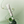 Load image into Gallery viewer, Tea-Trica Spot Cream
