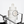Load image into Gallery viewer, Niacinamide 10 Boosting Shot Ampoule
