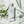 Load image into Gallery viewer, Tea-Trica Soothing Sun Milk
