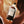 Load image into Gallery viewer, Probio-Cica Intensive Ampoule
