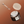 Load image into Gallery viewer, Probio-Cica Enrich Cream
