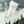 Load image into Gallery viewer, Tea-Trica BHA Foam
