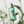 Load image into Gallery viewer, Tea-Trica Purifying Toner

